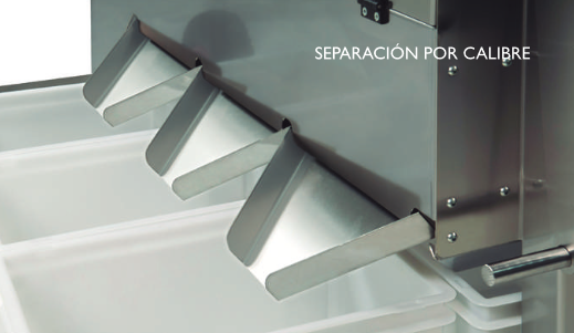 separación por calibres de las semillas